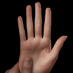 Harte Hand
