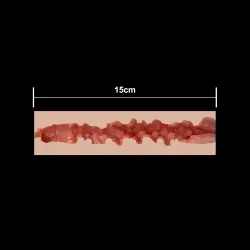 15cm