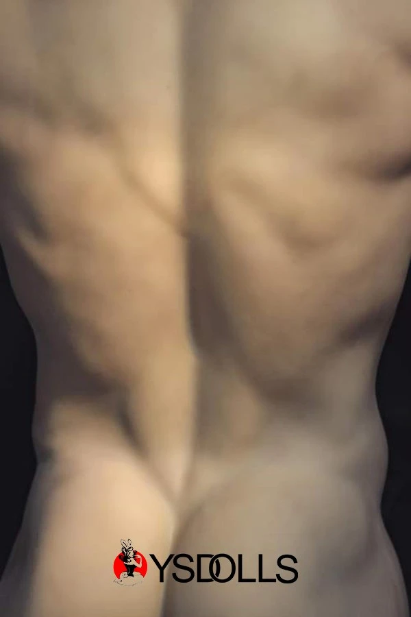 Bauchmuskeln Realdoll